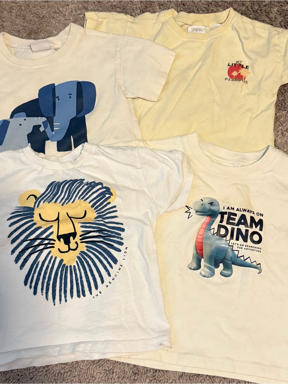 Zara Shirts- all in play condition